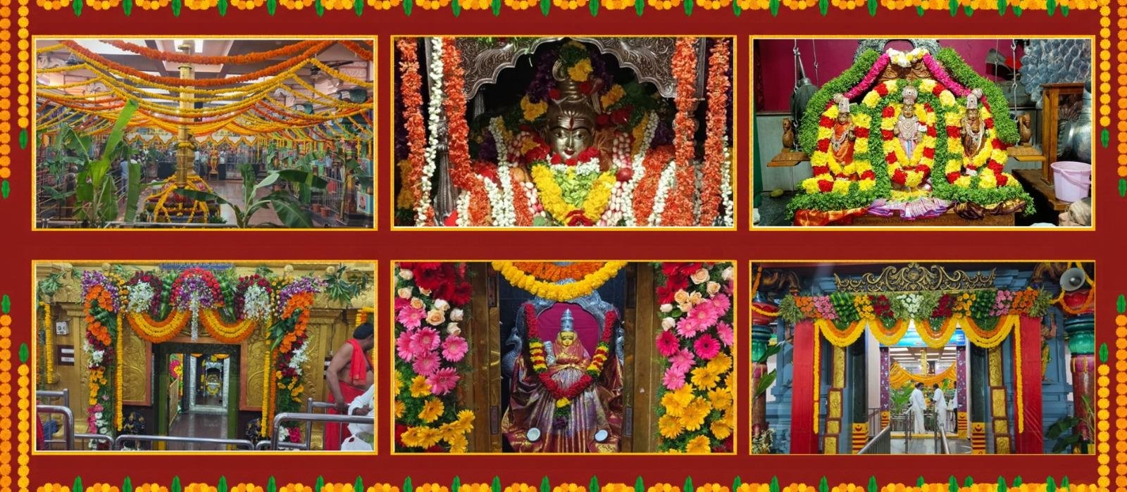 WhatsApp Image 2026-10-08 at 12.48.47 PM